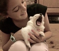CHIOT